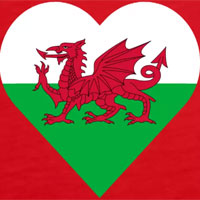Crys T a Hoodies Calon Cymru