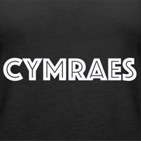 Crys T a Hoodies Cymraes
